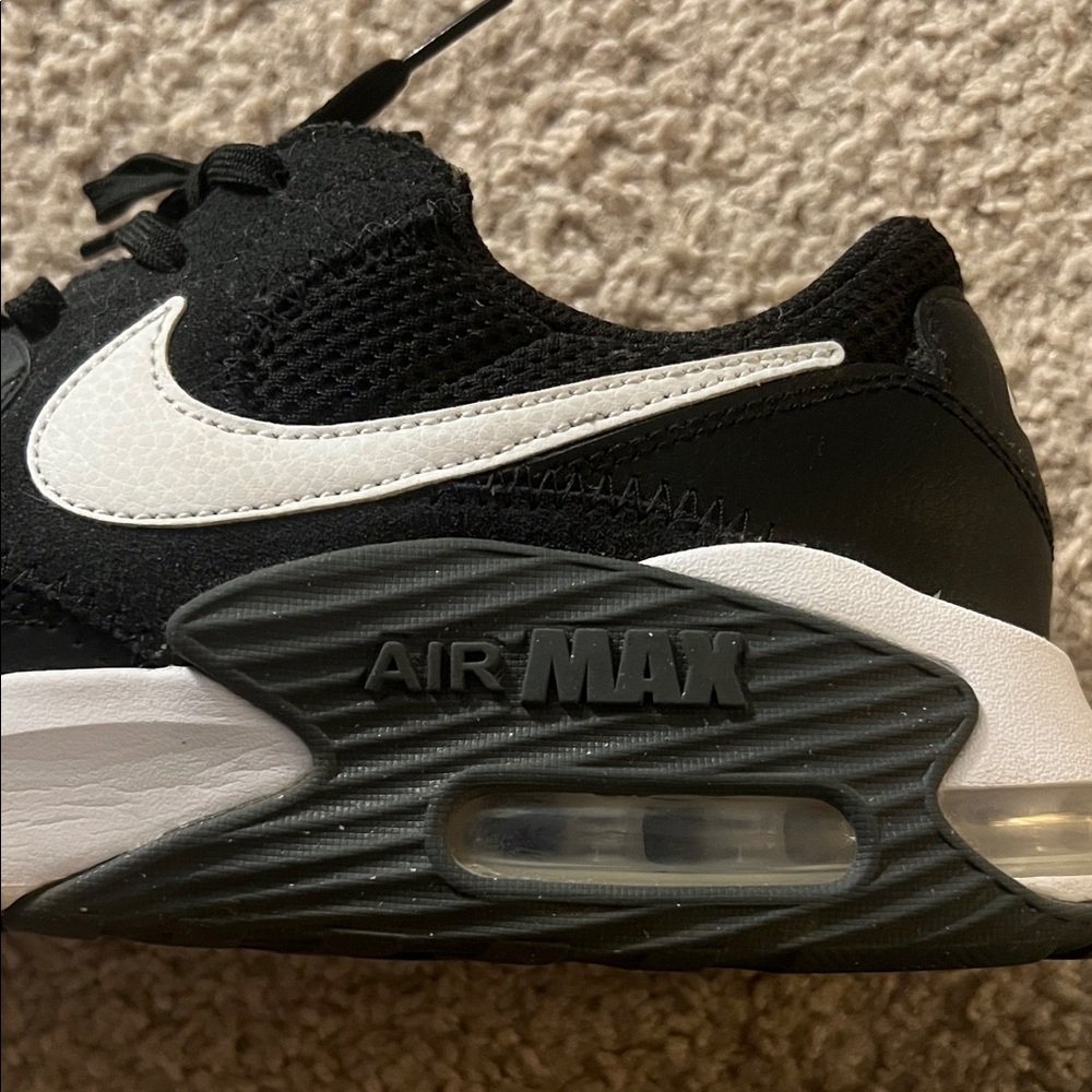 Nike Air Max Black and White Shoes